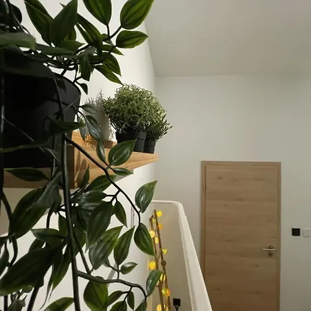 Patenier Hidden Garden 1bdr With Garden *